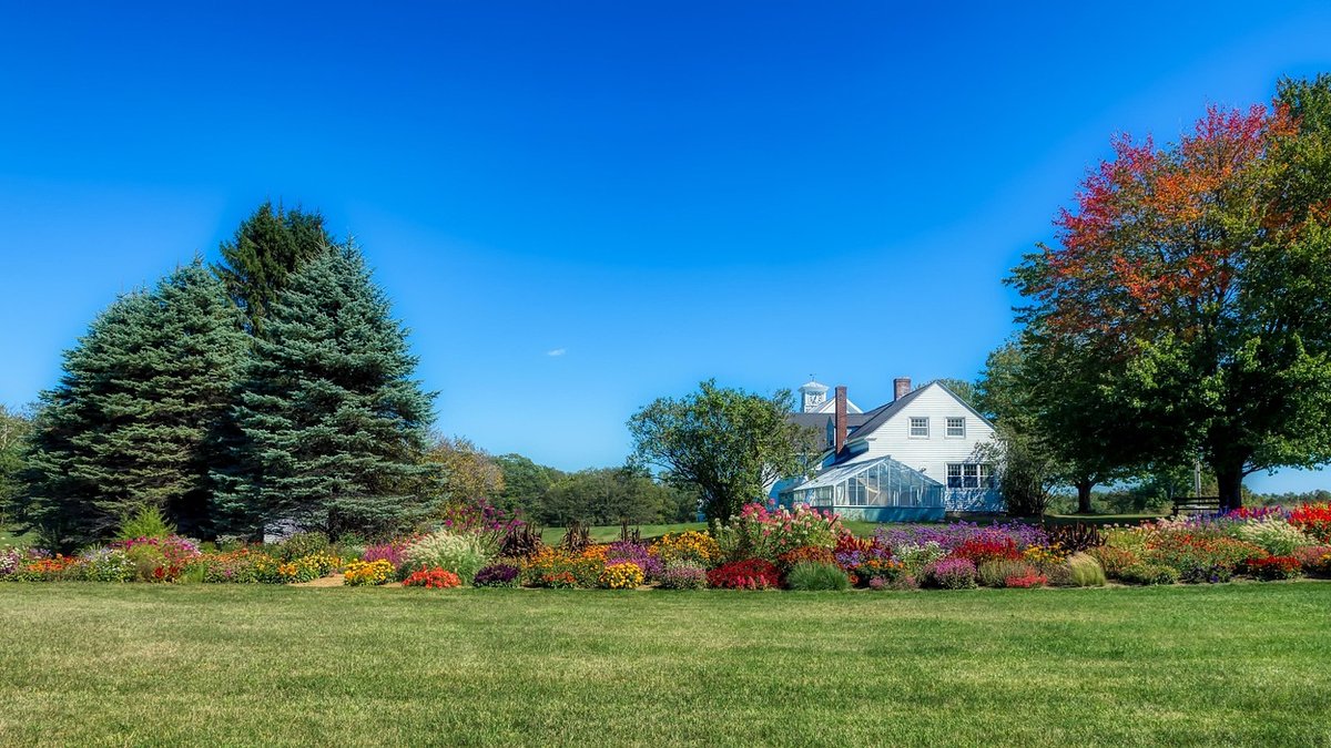 Recognising Edible Flowers in Meadows and Gardens